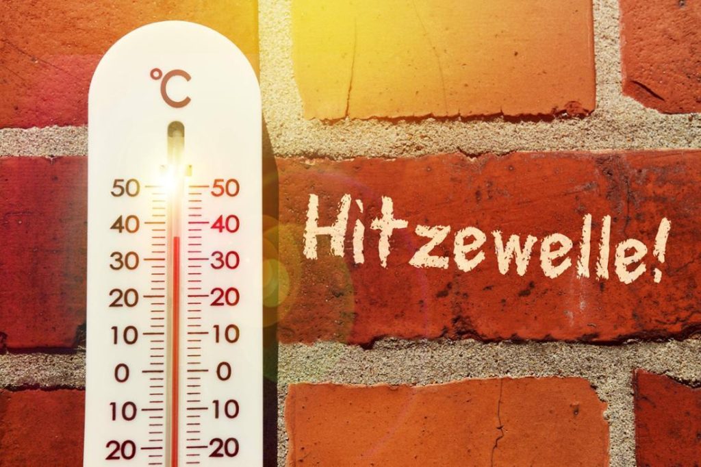 Licht ja – Hitze nein
